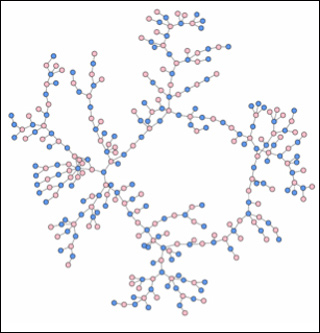 Diagram of a high school dating network. The general shape of this network is a ring with branches coming off of the main ring.