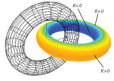 Curvature map of a torus showing elliptic, parabolic, and hyperbolic regions.