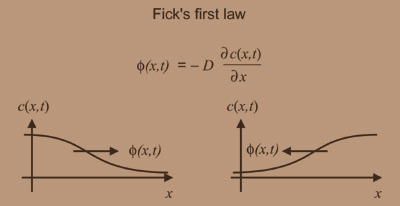 Fick's first law of diffusion (in equation and graph format).