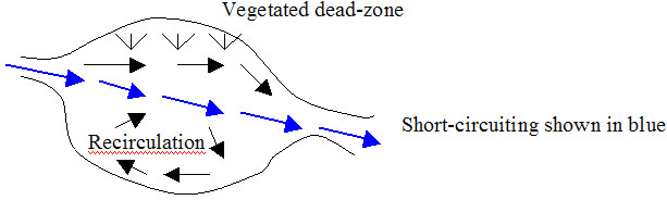 Scaling Analysis and Basic Models for Aquatic Systems