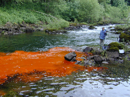 Dye Study photograph of the Lower Bull Run River of Oregon. 