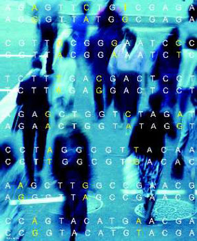 Single nucleotide polymorphisms.