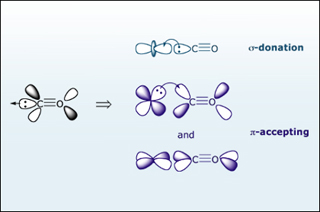 eicosanoids apolipoproteins lipoprotein particles and atherosclerosis 1989