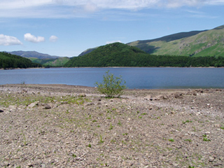 Photo of a landscape with a lake in the foreground.