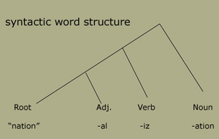 A diagram representing syntactic word structure.