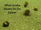 Photo of crabs on the sea floor with the overlaid title 'What Scuba Divers Do On Easter'