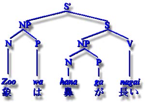 A linguistic tree.