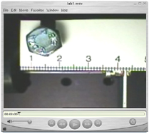Figure 6. Video Demonstration