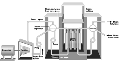 Diagram of an RBKM reactor design