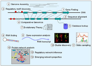 Mit opencourseware design and analysis of algorithms
