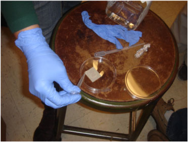 Photo of gloved hand dropping solution onto a piece of filter paper.