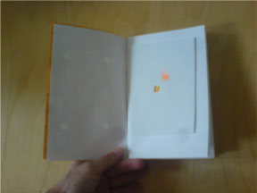 Two photos of a booklet.