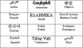 A 4X3 grid with names of various languages written in their native scripts as well as English.