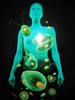 An androgynous figure with eyes uplifted and visible wireframe underpinning, overlaid with magnified images of microbes.