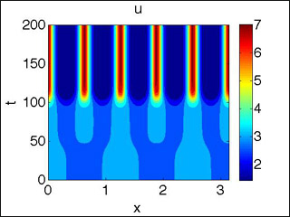 1D turing pattern generated by Matlab.